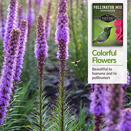 Survival Garden Seeds – Hummingbird Pollinator Mix Wildflower Seed for Planting – Packet with Instructions to Plant and Grow Flowering Plants in Your Home Vegetable Garden – Non-GMO Heirloom Varieties - Image 4